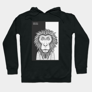 Japanese Macaque Monkey Hoodie